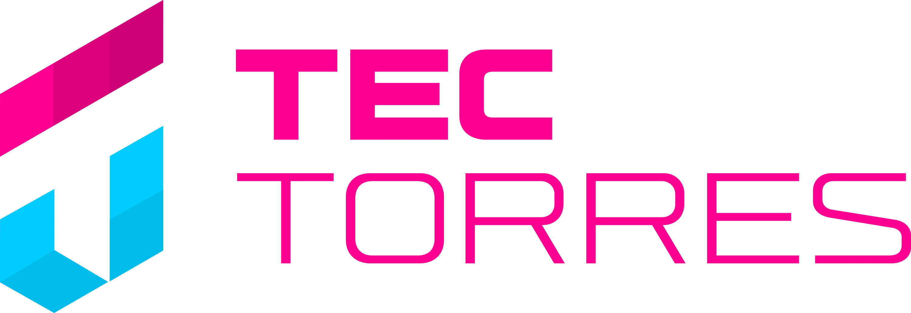 TEC TORRES